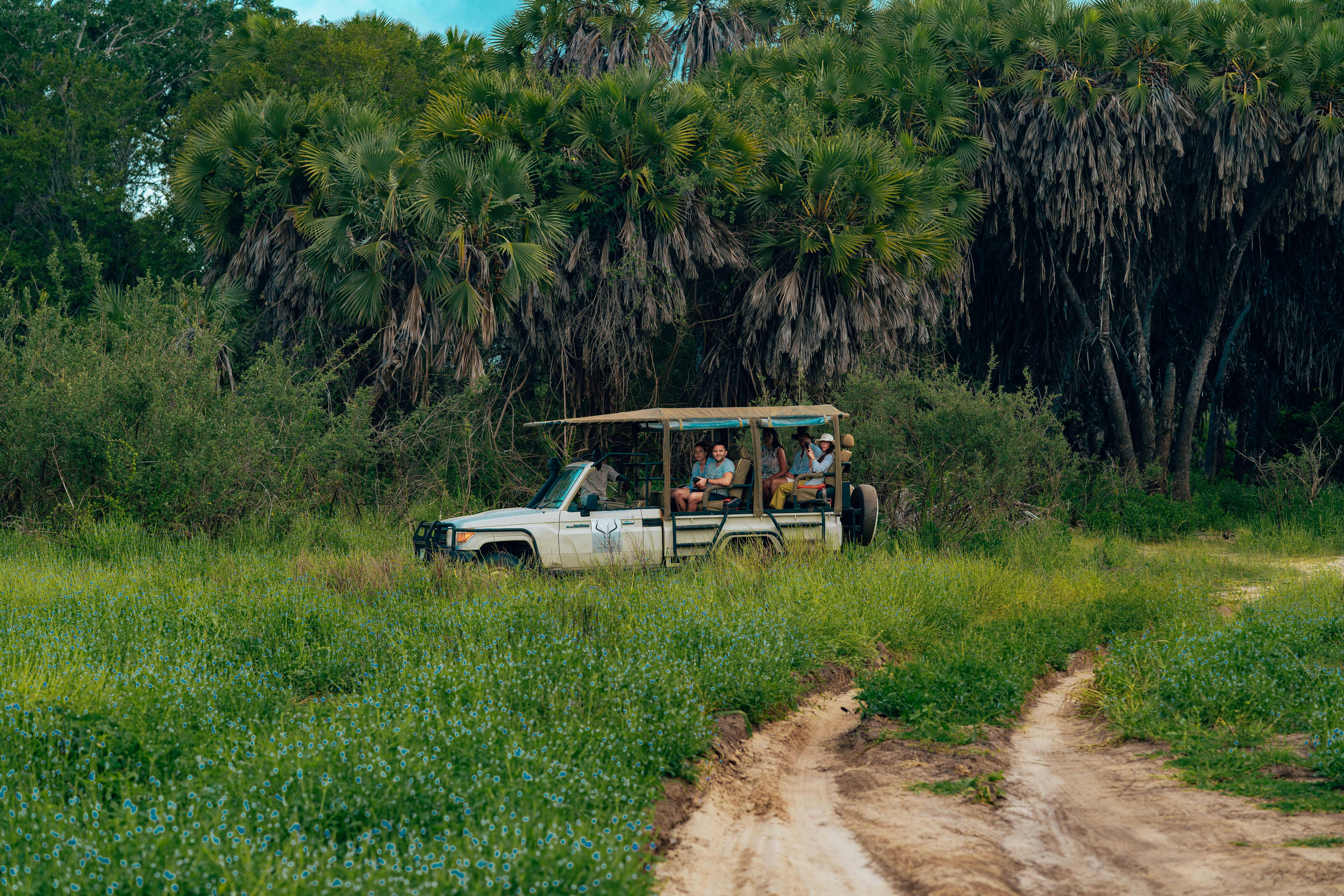 Night Safari – Langkawi