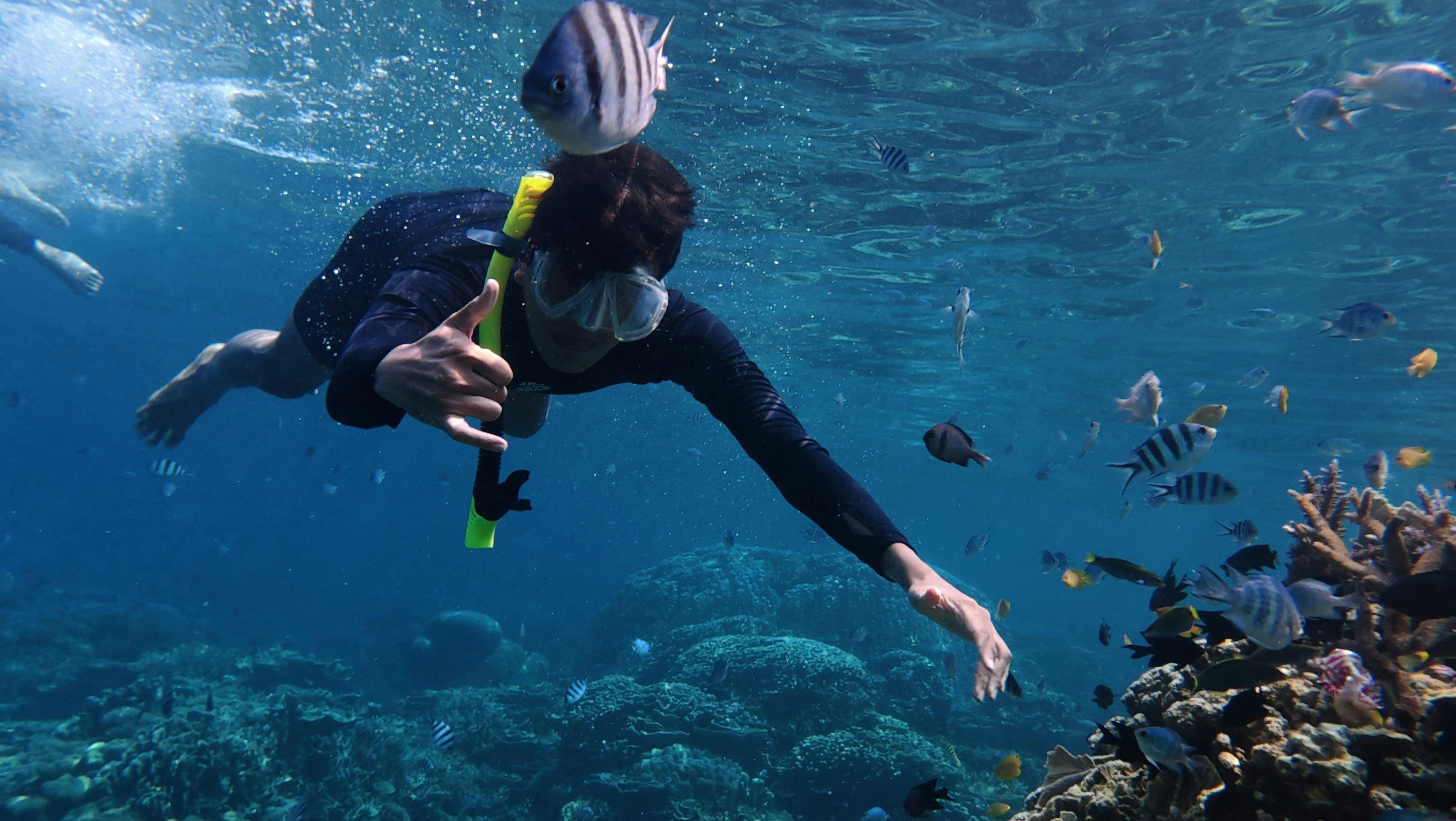 Snorkeling Tour – Private